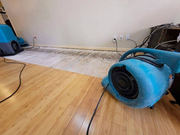 Reliable Basement Flood Cleanup contractor in Petersburg, IL by Hirex Water Damage