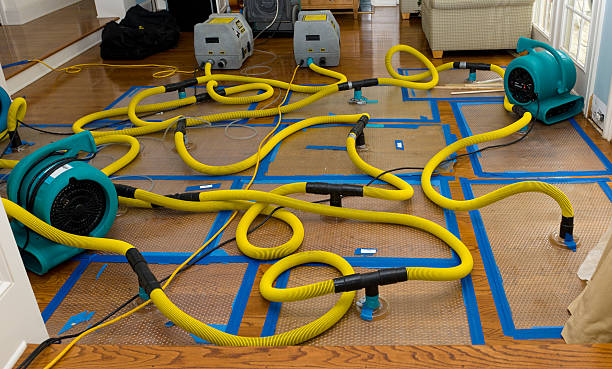 Professional Basement Flood Cleanup technician working in Petersburg, IL